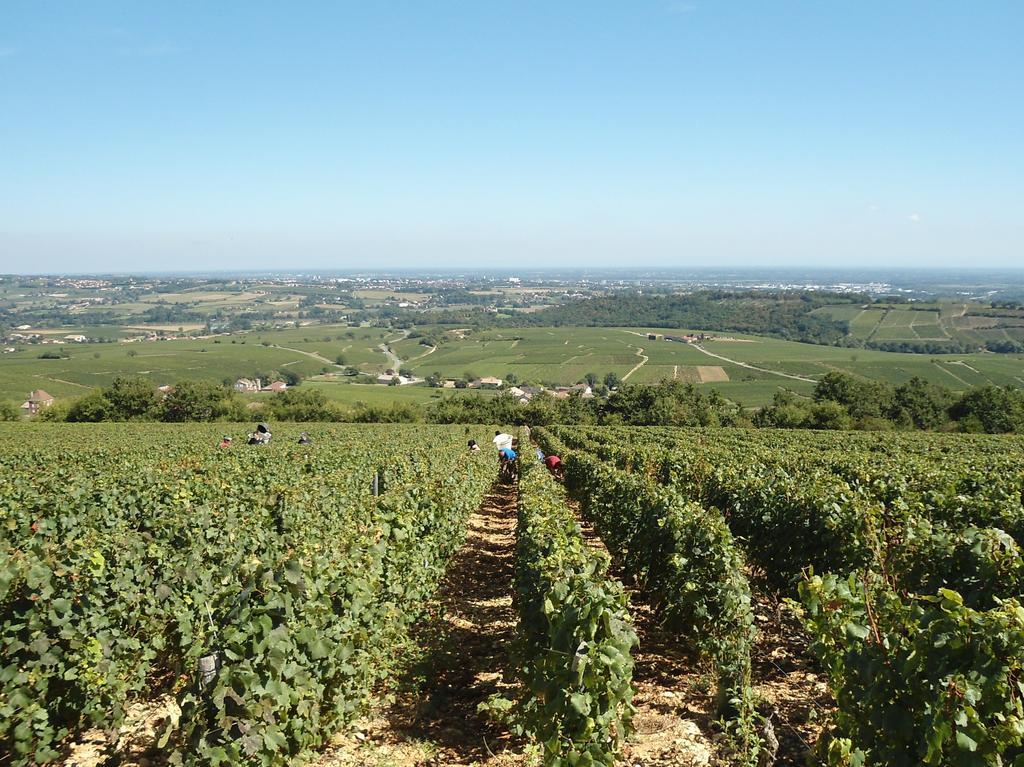 Vila Le Haut De Collonge Saint-Boil Exteriér fotografie